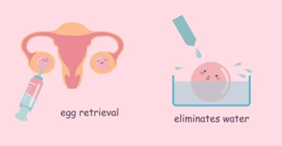 代生宝宝体温正常范围解析