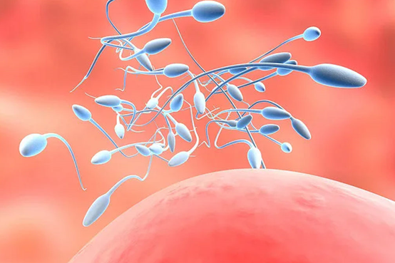 代怀助孕上皮细胞偏高的原因与应对策略