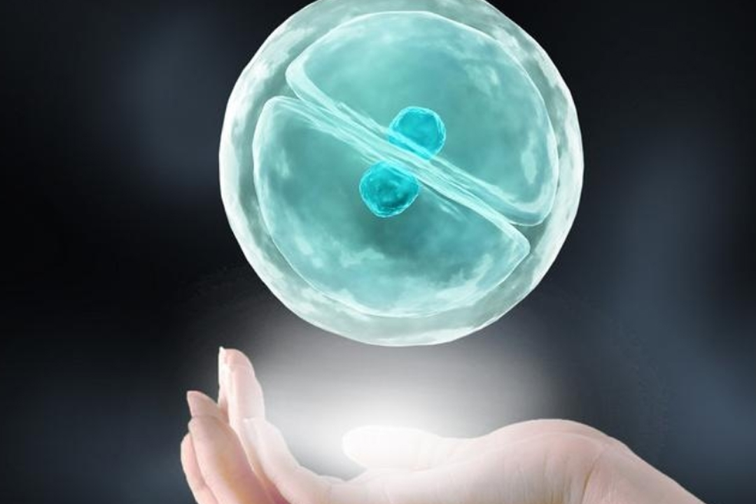 深圳私人代怀机构#代怀助孕饮食指南,一天应摄入几个鸡蛋?