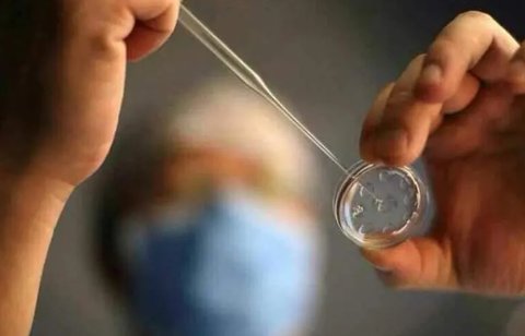 八个月代生宝宝过敏怎么办？全面解析与应对策略