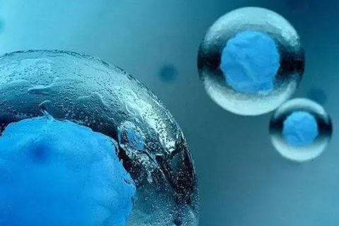 四个月的代生宝宝，成长之路的初见