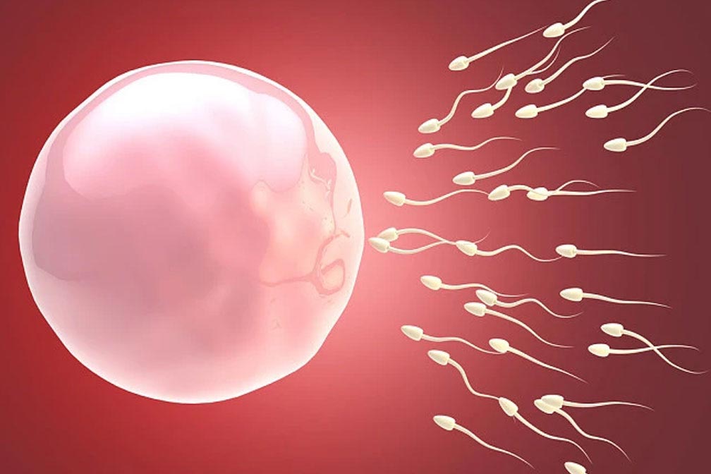 试管代怀初期双腿无力的原因与应对策略